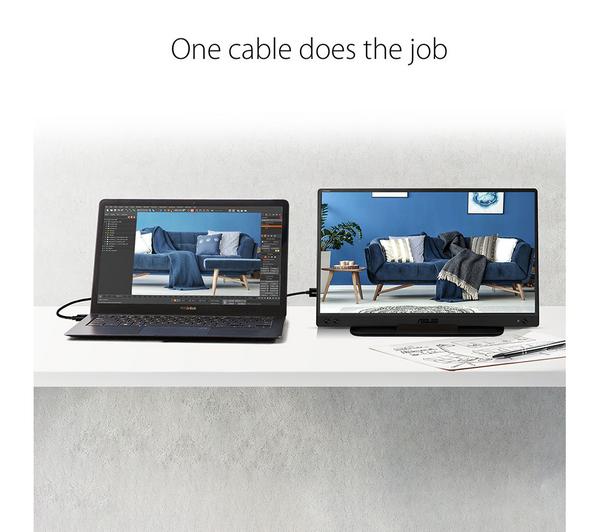 Asus ZenScreen 15.6" FHD 60Hz 5ms GTG IPS LCD Portable Monitor (MB166C)