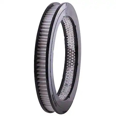 CARQUEST AIR FILTER 1 EA CQBLU 10857131