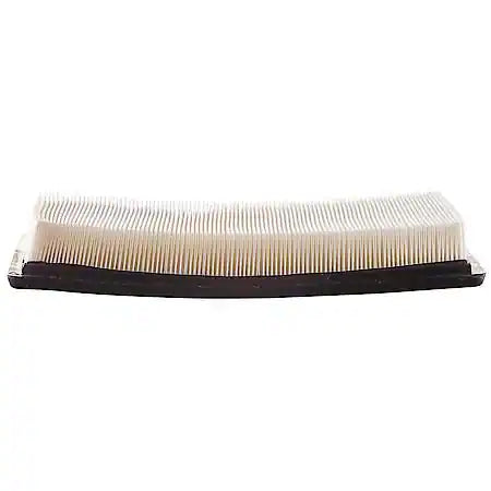 CARQUEST AIR FILTER 1 EA CQBLU 11355722