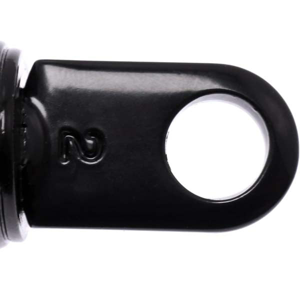 Tailgate Lift Support