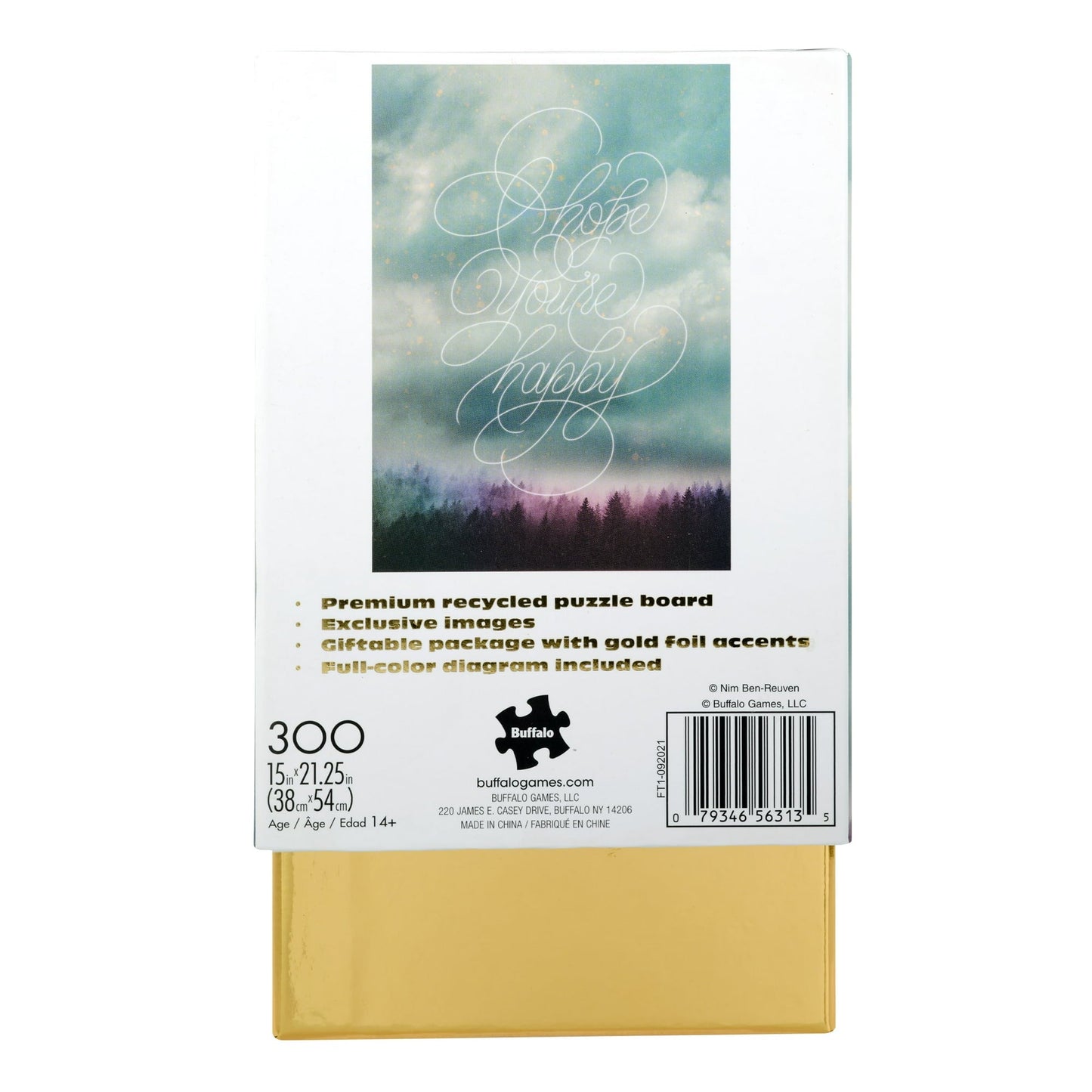 Buffalo Games 300-Piece Gold Now What Interlocking Jigsaw Puzzle