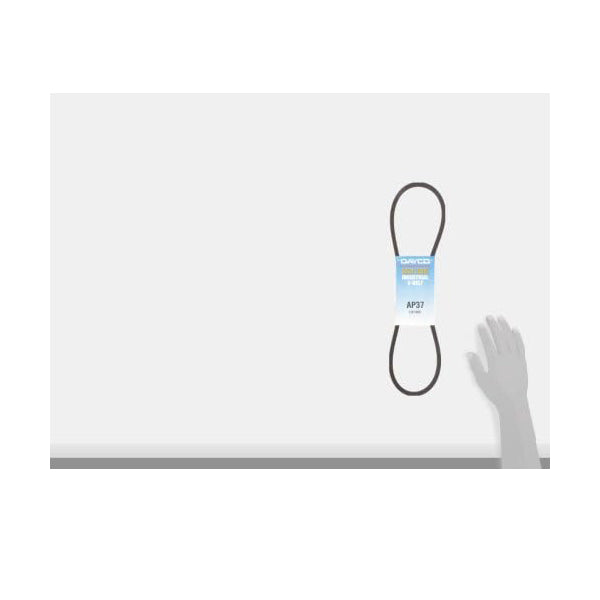 Dayco AP37 Accessory Drive Belt