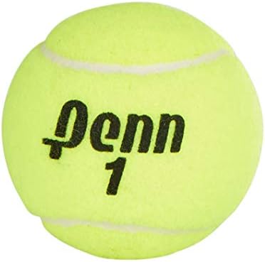 Penn Championship Extra Duty Tennis Balls (1 Can 3 Balls)