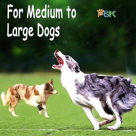 Multicolored ROPE CHEW AND TUG WAR TOY