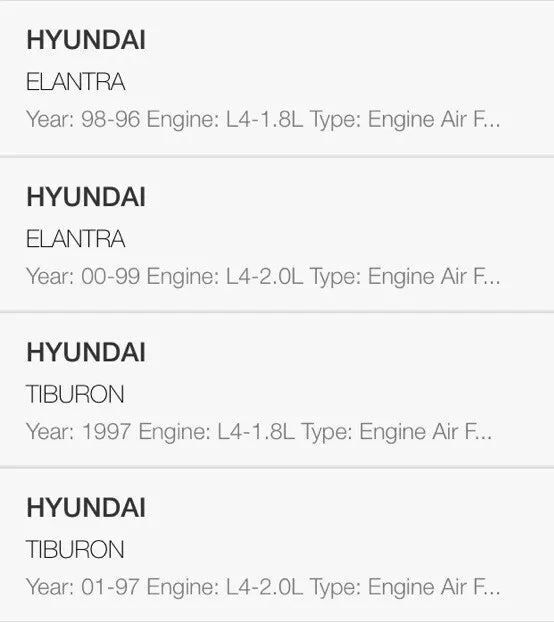 CARQUEST AIR FILTER 1 EA CQBLU 10970017