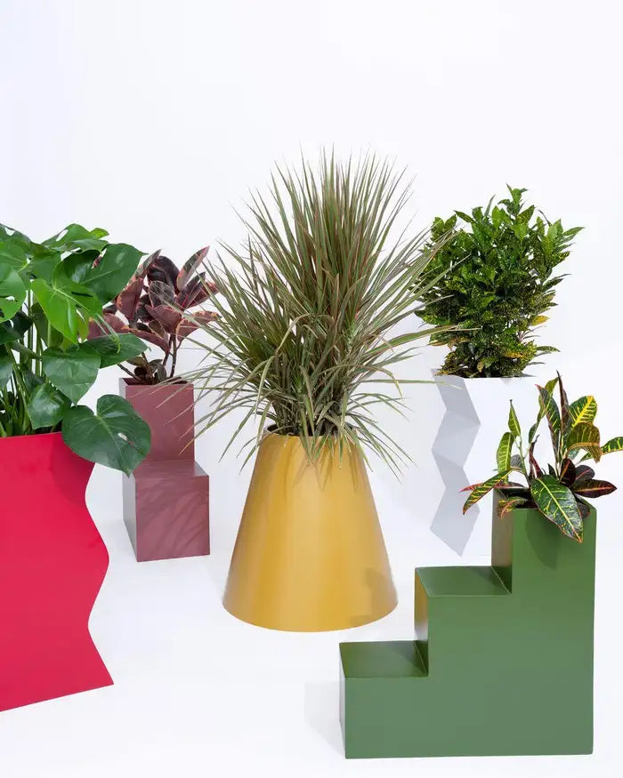 HAY Curvy Planter - Ash