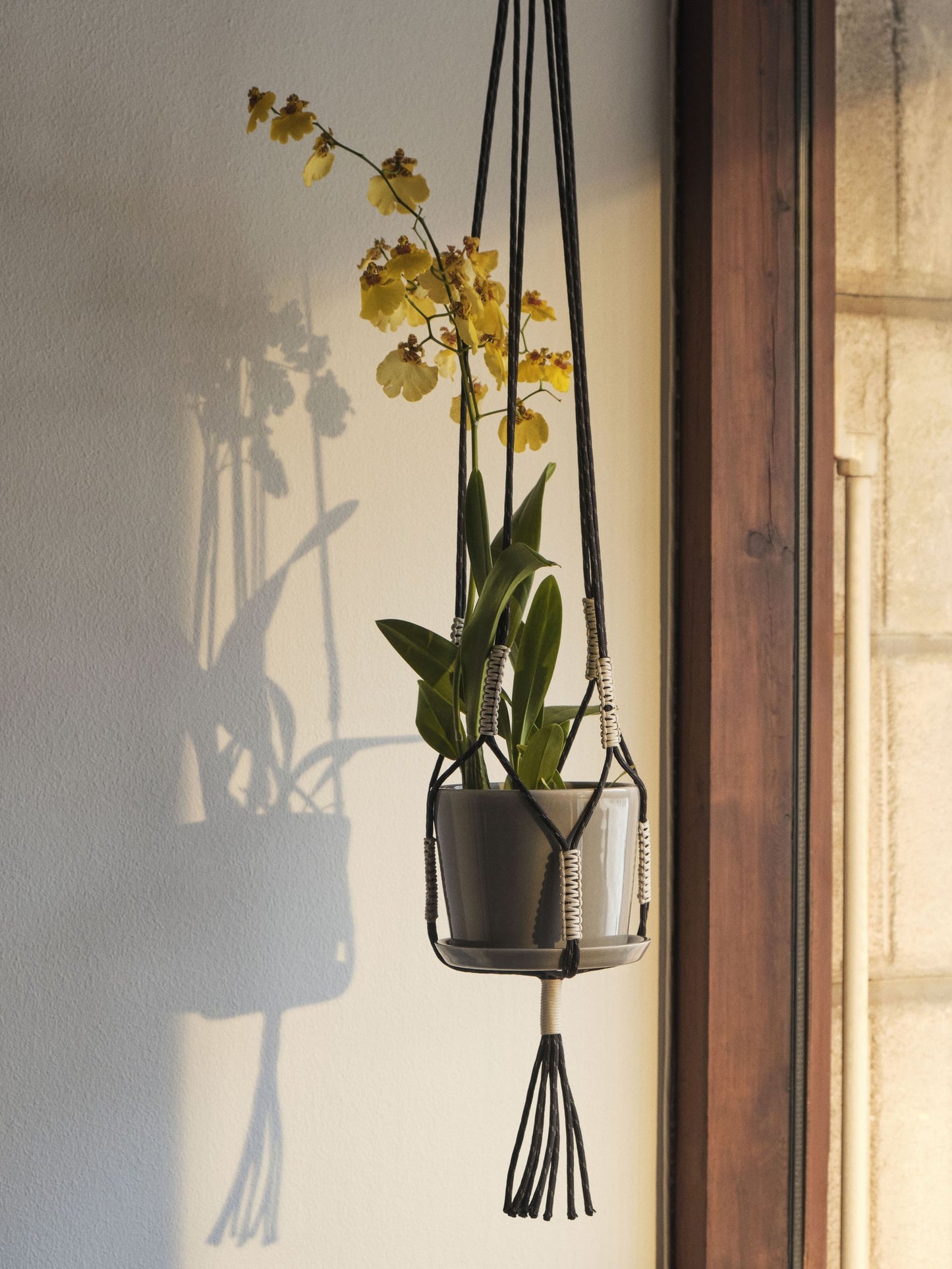 HAY Phanta Plant Hanger - Black100204725